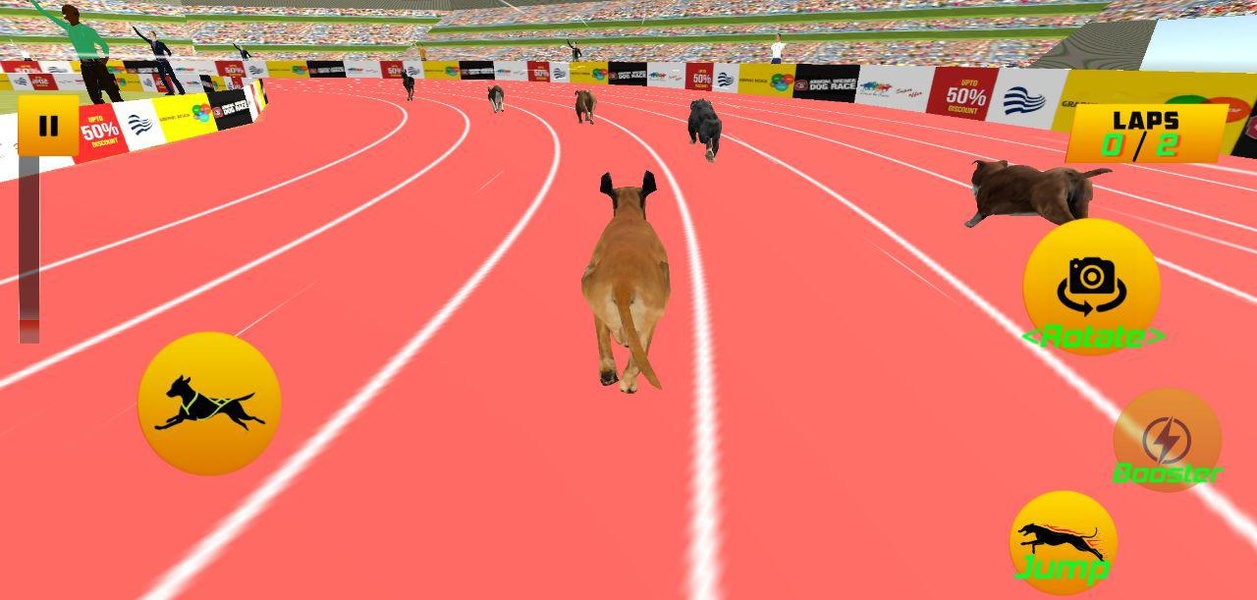 Dog Race 2019 - Preview 5