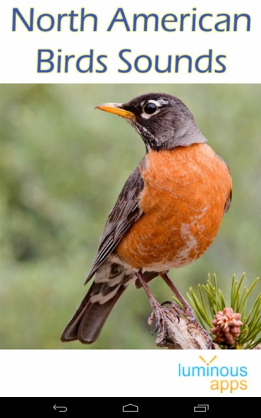 North American Birds Sounds - Preview 8