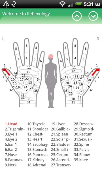 Hand Chart - Preview 2