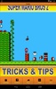 Super Mario Bros 2 Tricks screenshot 1