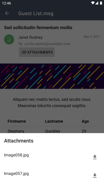 Email Viewer - Preview 1