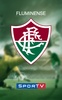 Fluminense screenshot 6