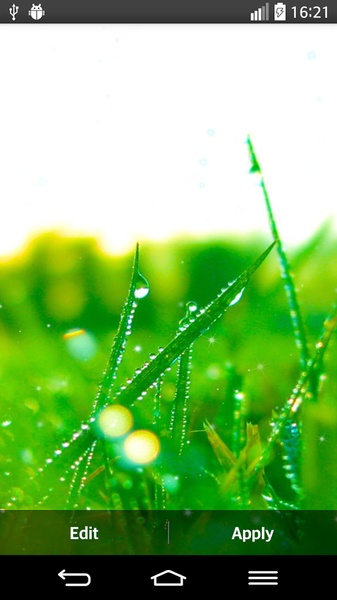 Green Nature Live Wallpaper - Preview 2