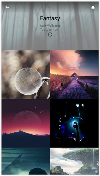 Wallpaper World - Preview 2
