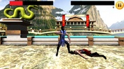 Kung Fu Fighting screenshot 2
