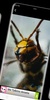 wasp wallpaper screenshot 3