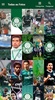 Papeis de parede de Palmeiras screenshot 11