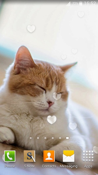 Cute Cats Live Wallpaper - Preview 1
