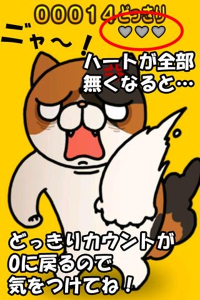 Surprised cat - Preview 1