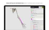 Anatomyka Skeleton screenshot 5