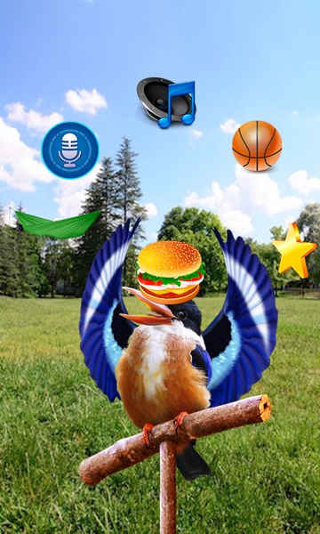 Real Talking Bird - Preview 5