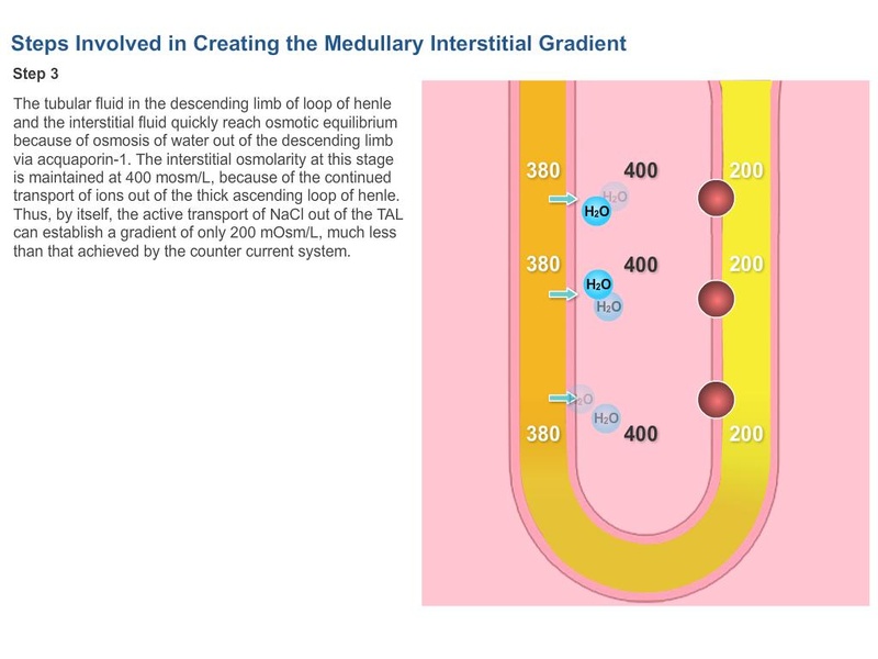 Physiology Learning Pro - Preview 1