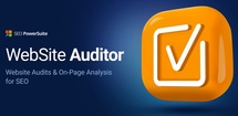 WebSite Auditor feature