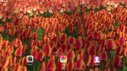 Flowers Live Wallpaper screenshot 2