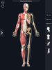 My Muscle Anatomy screenshot 2