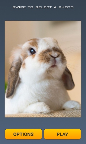 Cute Rabbits Puzzle - Preview 2