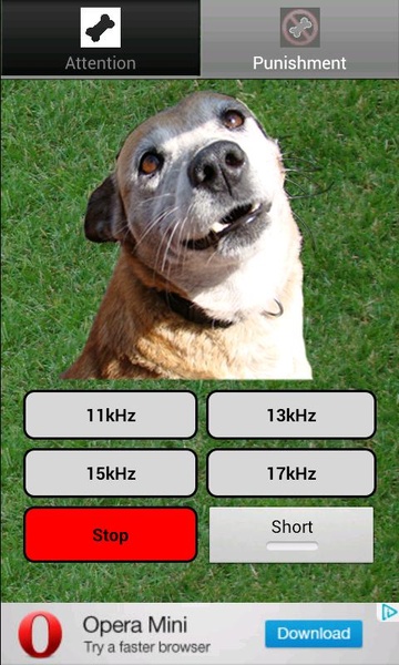Trainer For Dog - Preview 2
