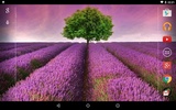 Garden Live Wallpaper screenshot 2