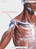 V. Anatomy screenshot 13
