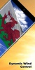 Wales Flag screenshot 7