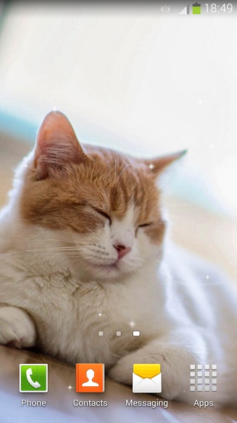 Cute Cats Live Wallpaper - Preview 10