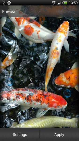 Koi Fish Live Wallpaper - Preview 1