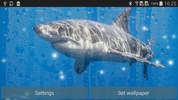 Shark Live Wallpaper screenshot 2