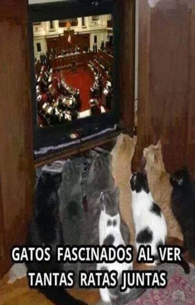Imagenes de humor 3 - Preview 5