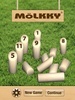 Mölkky Game Tracker screenshot 4