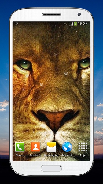 Wild Lion Live Wallpaper HD - Preview 7