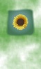 Sunflower Wallpaper screenshot 6