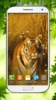 Tiger Live Wallpaper HD screenshot 3