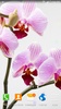 Orchids Live Wallpaper screenshot 3