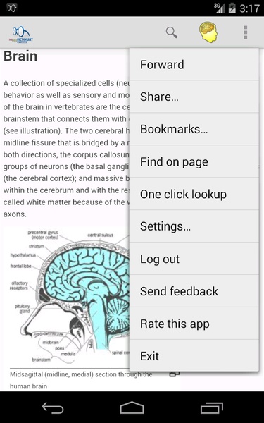 Dictionary Linguee para Android - Baixe o APK na Uptodown