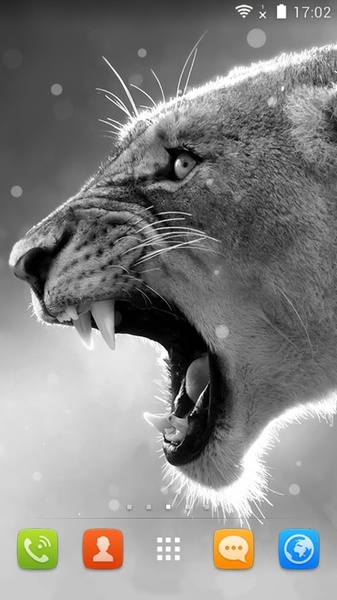 Roar Locker Wallpaper-VLife - Preview 1