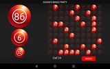 Bingo Caller Machine (free Bin screenshot 16