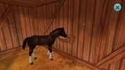 Star Stable Horses screenshot 8