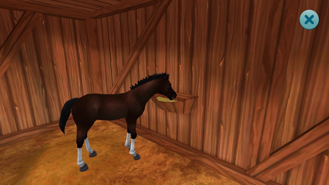 Star Stable Horses - Preview 8