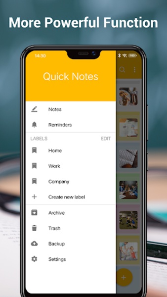 Notes Free - Preview 5