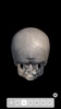 Skeleton 3D Anatomy screenshot 6