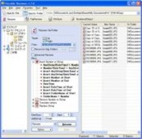 Flexible Renamer 8 3 Para Windows Descargar