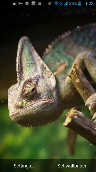 Chameleon Live Wallpaper - Preview 6