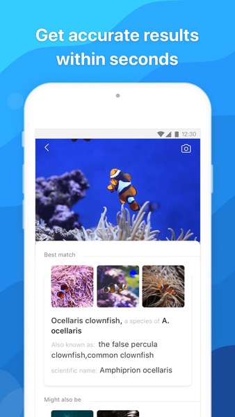 Picture Fish - Fish Identifier - Preview 3