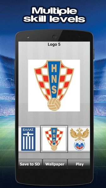 Logo Puzzle Euro 2016 - Preview 1