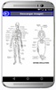 Anatomia humana gratis en Español screenshot 1