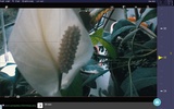 Magic Nikon ViewFinder screenshot 2