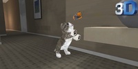 Real Cat Simulator screenshot 8