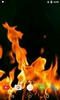 Fire Video Live Wallpaper screenshot 3