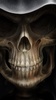 Skull Wallpapers screenshot 3