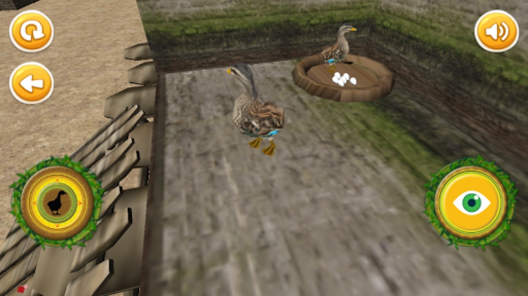 Real Duck Simulator - Preview 9